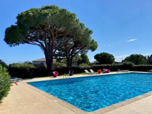 una piscina con sedie e un albero di Mini-villa Bocca del Oro - Sud Porto-Vecchio a Bocca del Oro