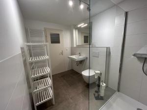 a bathroom with a shower and a toilet and a sink at Haus Anna in Freudenstadt +15 photos
