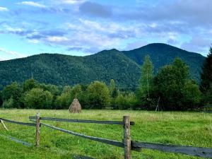 a fence in a field with mountains in the background at Садиба Гармонія in Guta +13 photos