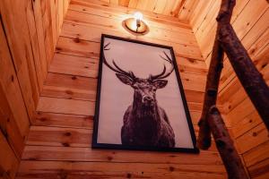 Fotografie z fotogalerie ubytování Les Gîtes de Sprimont - Le Cottage v destinaci Sprimont