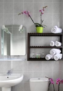 a bathroom with a sink and a toilet and a mirror at Chez Madame Cailleau in Houlgate +40 photos