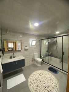 a bathroom with a shower and a sink and a toilet at Mira Suit Apart in Çamlıhemşin +22 photos