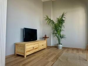 un soggiorno con TV e pianta in vaso di Tarihi Asansör Sokağında Daire a Smirne