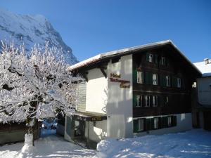 ein Gebäude im Schnee mit einem Baum davor in der Unterkunft Tschuggen Apartment - No Kitchen in Grindelwald