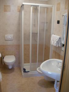 a white toilet sitting next to a shower in a bathroom at Garni Baita Cecilia in Livigno