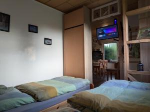 Zwei Betten in einem Zimmer mit einem Fernseher an der Wand. in der Unterkunft Kleine Jagdhütte in Zettemin + 14 Fotos