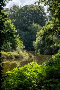 a river in the middle of a forest at Manoir 4 couchages, terrain de tennis étang privé in Lannéanou