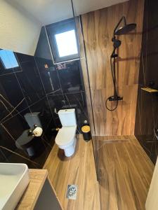 a bathroom with a toilet and a shower at Eternum Glamping in Žabljak