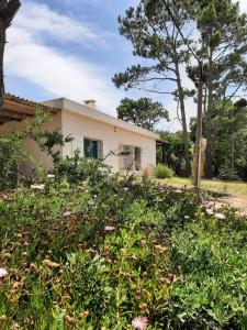 une maison avec beaucoup d'herbes devant elle dans l'établissement Chalet Labuada a 3 cuadras del mar, à La Aguada