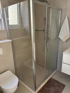 a bathroom with a shower and a toilet at Coast line apartment Mika in Tivat