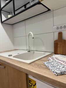 a kitchen with a sink and a counter top at Apartman BeerCuz Beer House in Novi Sad
