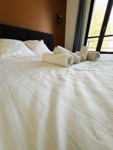 En eller flere senge i et værelse på villa Konny studio rez-de-chaussée