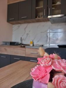 Kuhinja ili čajna kuhinja u objektu Apartman Aurora
