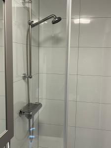 a shower with a glass door in a bathroom at t Dinxken in Dinxperlo +13 photos