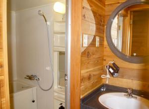 a bathroom with a sink and a mirror at Hakuba Brownie Cottages in Hakuba