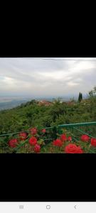 Paesaggio naturale nelle vicinanze dell'affittacamere