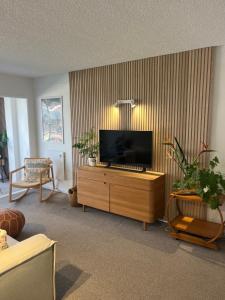 Charm on Commons, Mauao的电视和/或娱乐中心