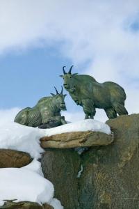 Zvířata v prázdninového domu nebo okolí