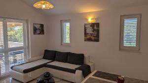 a living room with a couch and two windows at Apartman Riba in Biograd na Moru