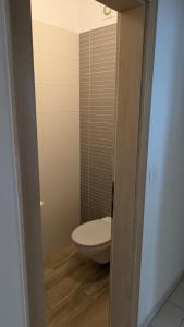 a bathroom with a toilet sitting in a room at Apartman Riba in Biograd na Moru +26 photos