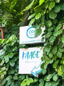 Certifikát, hodnocení, plakát nebo jiný dokument vystavený v ubytování ODI KAMADHOO