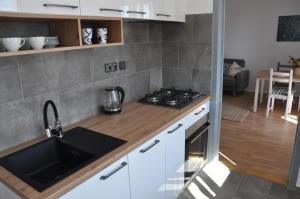 Kuchyň nebo kuchyňský kout v ubytování Pohoda apartmán Třeboň