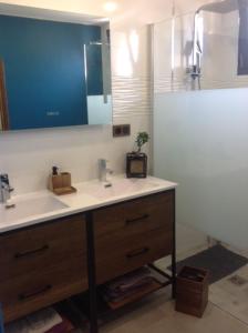 a bathroom with a sink and a mirror at Maison individuelle plein centre avec jardin ,au pied du Mont Ventoux in Malaucène +32 photos