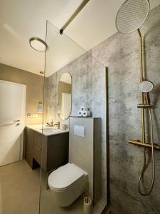 a bathroom with a toilet and a sink and a shower at Holiday home Prora Mare in Ždrelac