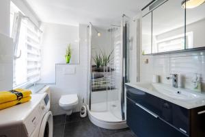 a bathroom with a shower and a toilet and a sink at Ferienhaus Biedermann in Naumburg