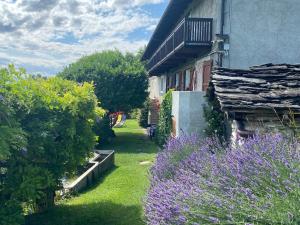 Zahrada ubytování Appartamenti Maison Guyon