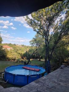 a blue tub with two red tubes in it at Villa Lavandula in Malko Trŭnovo +36 photos