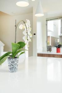 Fotografie z fotogalerie ubytování Costa Mesa Cozy Retreat, Modern and Smart Home v destinaci Costa Mesa