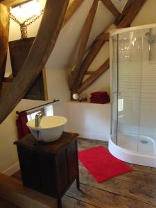 a bathroom with a sink and a shower at 't Nophof in Zulzeke