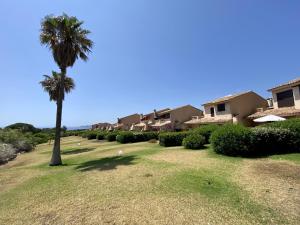 una palma in mezzo a un cortile di Mini-villa Bocca del Oro - Sud Porto-Vecchio a Bocca del Oro