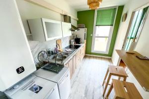 a kitchen with green walls and a sink and a dishwasher at AC - Secure Parking - Near Central Station in Avignon