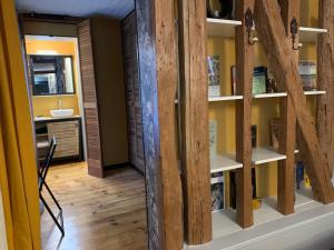 una stanza con librerie e un lavandino di Duplex La Maisonnette 1 chambre - parking gratuit a Troyes