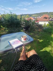 Privates Zimmer in ruhiger Lage Heidenheim-Steinheim am Albuch في Steinheim am Albuch: شخص يجلس على العشب مع صينية بها كوب من القهوة +3 صور
