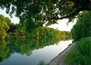 a view of a river with trees on the side at Charmant studio Créteil proche Paris, Disneyland, hôpitaux, aéroports in Créteil