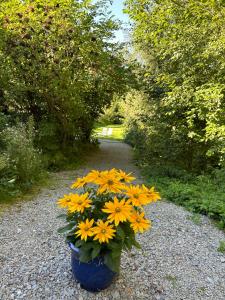 Vonkajšia záhrada v ubytovaní Am Wildbach bei Passau
