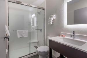 Koupelna v ubytování Econo Lodge Inn & Suites