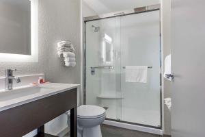 Koupelna v ubytování Econo Lodge Inn & Suites