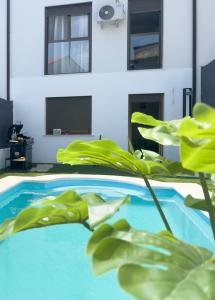 a swimming pool with a plant in front of a building at CerezasHomes3 in Jaraiz de la Vera