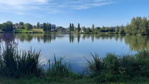 a large body of water with trees in the background at Ferienhaus Meister Eder in Waldkirchen