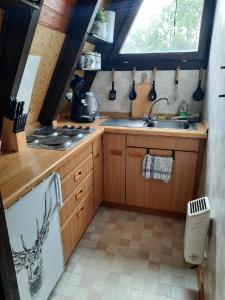 a small kitchen with a sink and a stove at Ferienhaus Meister Eder in Waldkirchen