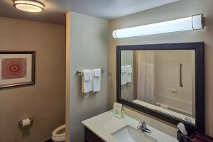 Koupelna v ubytování Quality Inn & Suites