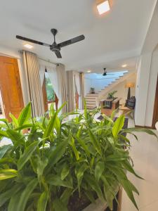 a living room with plants and a ceiling fan at Villa Vikasa Colombo in Colombo +77 photos