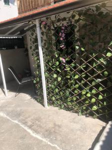 eine mit Efeu bedeckte Wand mit einem Stuhl auf einer Terrasse in der Unterkunft Apartman Blue Moon Split- free parking in Split
