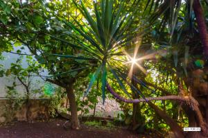 Giardino di Beautiful Countryside House