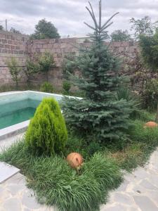 Fotografie z fotogalerie ubytování Villa Maria Dilijan v destinaci Dilidžan