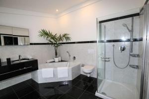 a bathroom with a shower and a tub and a toilet at Regensburgs grandioses Apartment in Sinzing +14 photos
